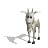 billy_goat_blinking_tw.gif