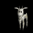 billy_goat_blinking_tb.gif