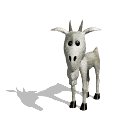 billy_goat_blinking_mw.gif