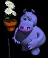 hippo_sniffing_daisies_mc.gif