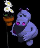 hippo_sniffing_daisies_lb.gif