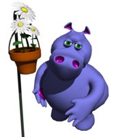 hippo_sniffing_daisies_hr.jpg