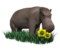 hippo_sniff_flower_hr.jpg