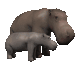 hippo_mom_and_baby_sc.gif
