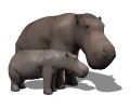 hippo_mom_and_baby_mw.gif