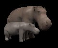 hippo_mom_and_baby_mc.gif