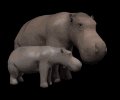 hippo_mom_and_baby_mb.gif
