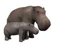 hippo_mom_and_baby_hr.jpg