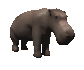 hippo_blinking_sc.gif