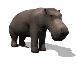 hippo_blinking_lw.gif