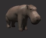 hippo_blinking_lc.gif