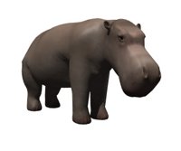 hippo_blinking_hr.jpg