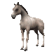 quarterhorse_tail_swing_sc.gif