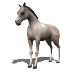 quarterhorse_tail_swing_lw.gif