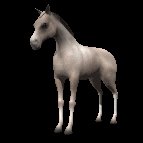 quarterhorse_tail_swing_lc.gif
