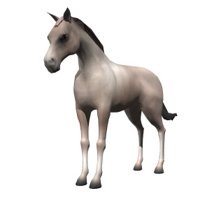 quarterhorse_tail_swing.jpg