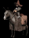 mexicano_stubbornmule_lb.gif