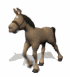 horse_with_halter_tro_a_sw.gif