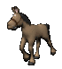 horse_with_halter_tro_a_sc.gif