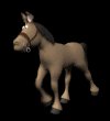 horse_with_halter_tro_a_mc.gif