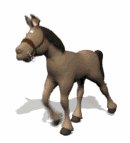 horse_with_halter_tro_a_lw.gif