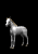 horse_white_rear_sb.gif
