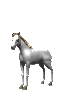 horse_white_rear_mw.gif