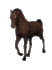 horse_walk_mw.gif