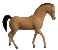 horse_trot_mc.gif