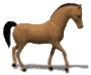 horse_trot_lw.gif