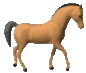 horse_trot_lc.gif