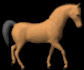 horse_trot_lb.gif