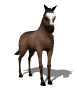 horse_tail_swing_sw.gif