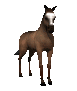 horse_tail_swing_sc.gif