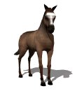 horse_tail_swing_mw.gif