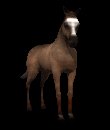 horse_tail_swing_mc.gif