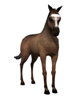 horse_tail_swing.jpg
