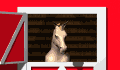 horse_searching_mw.gif
