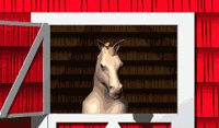 horse_searching_lw.gif