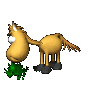 horse_eating_sc.gif