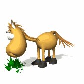 horse_eating_lw.gif