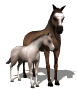 horse_and_foal_sw.gif