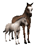 horse_and_foal_sc.gif
