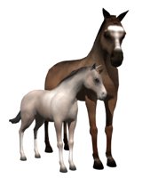 horse_and_foal.jpg