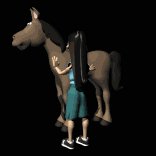 girl_brushing_horse_lb.gif