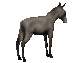 donkey3_bucking_sc.gif