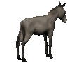 donkey3_bucking_mc.gif
