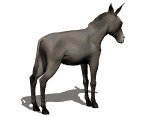 donkey3_bucking_lw.gif