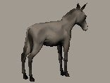 donkey3_bucking_lc.gif