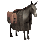donkey2_standing_sc.gif